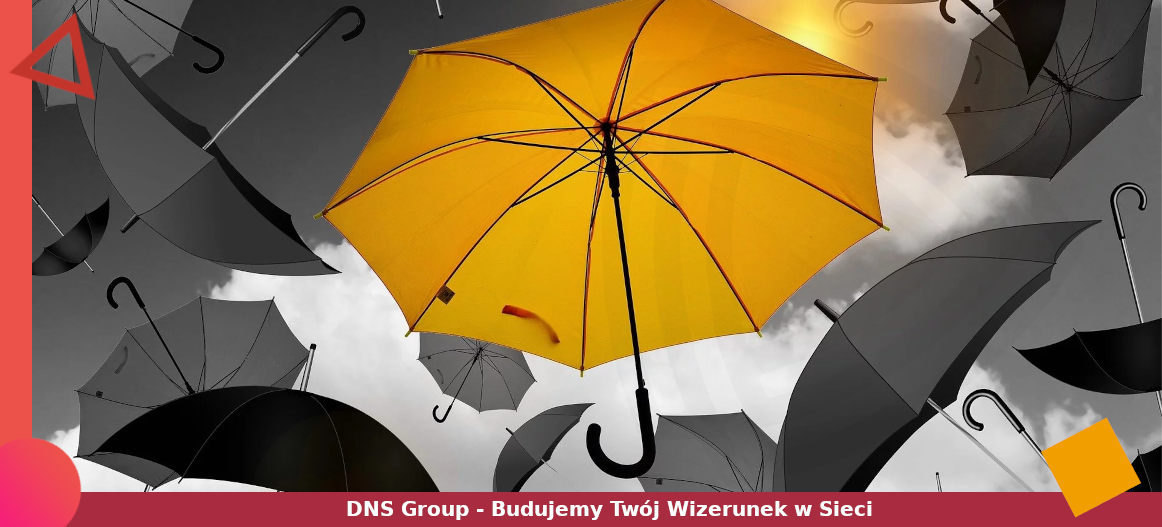 Parasol SEO od DNS Group
