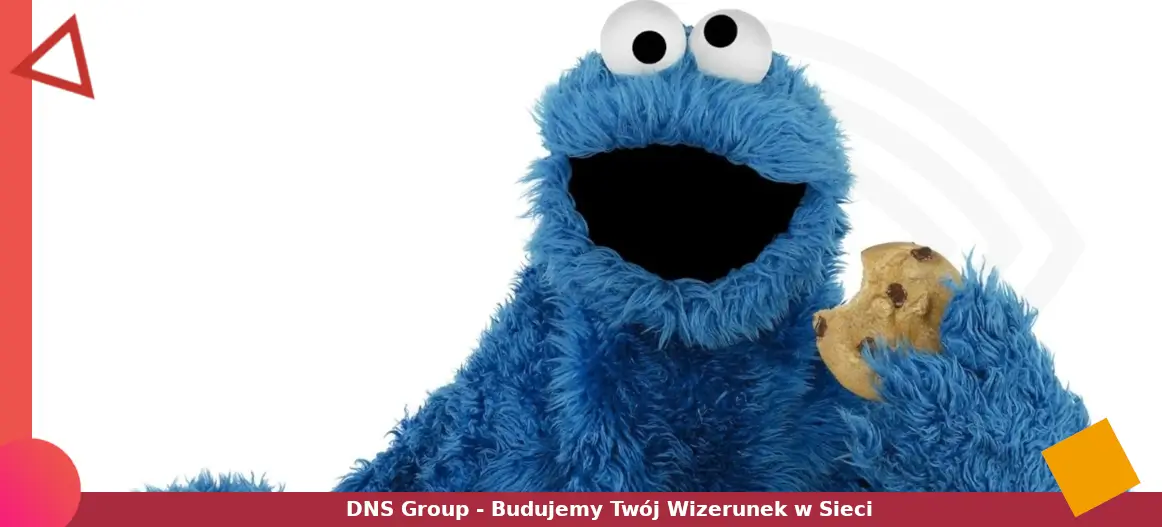 Czy moja strona korzysta z cookies