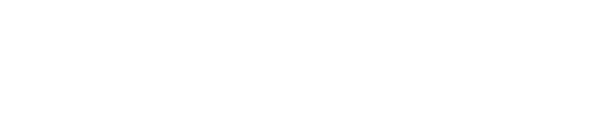 logo dnsgroup white